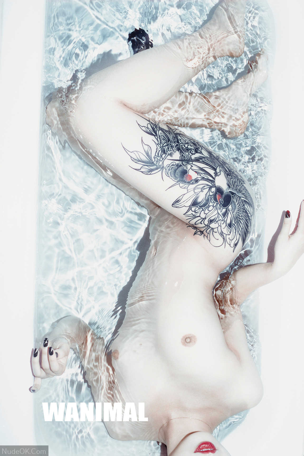 NudeOK.Com - Nude Art Set - WANIMAL นางแบบจีน - อีโรติก - นู้ด; - Porn art asian