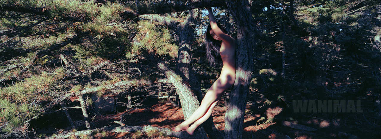 NudeOK.Com Wanimal Photos nues de fille modèle chinoise érotique art nu Photo Album Model Girl Chinese Naked Sexy Nude-Art Pictures; NudeOK.Com - Photos nues de fille modèle chinoise - Wanimal nude - érotique - art nu - Photo Album; Model China; Girl Chinese; Naked Sexy; Nude Art Pictures; NudeOK.Com - Photos nues de fille modèle chinoise - Wanimal nud; 