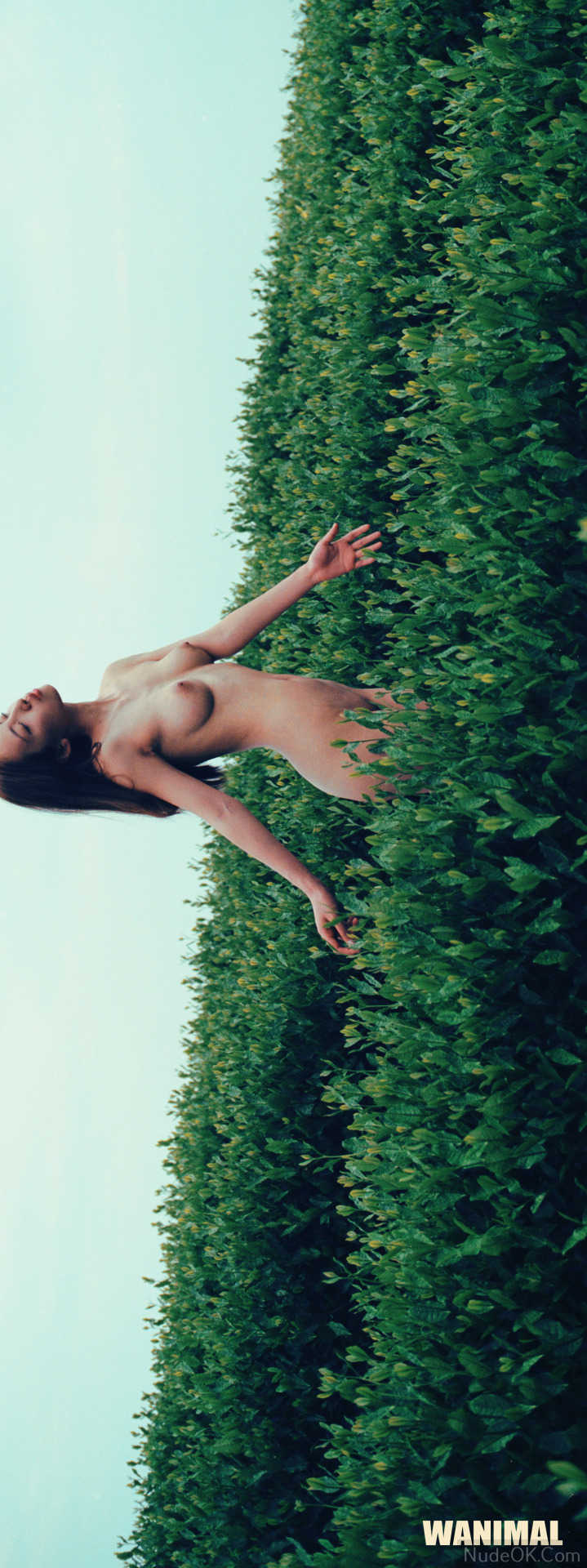 NudeOK.Com - 裸体照片 - 中国模特女孩 - Wanimal 裸体 - 色情 - 裸体艺术 - Photo Album; Model China; Girl Chinese; Naked Sexy; Nude Art Pictures; NudeOK.Com - 裸体照片 - 中国模特女孩 - Wanimal 裸体; 