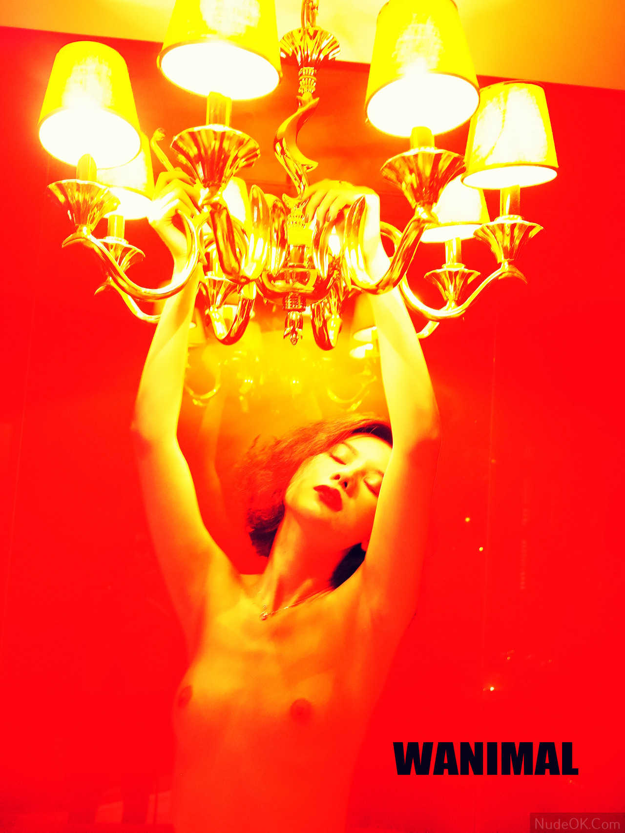 NudeOK.Com Bộ Hình Ảnh Nude Nghệ Thuật WANIMAL người mẫu Trung Quốc - Porn art asian