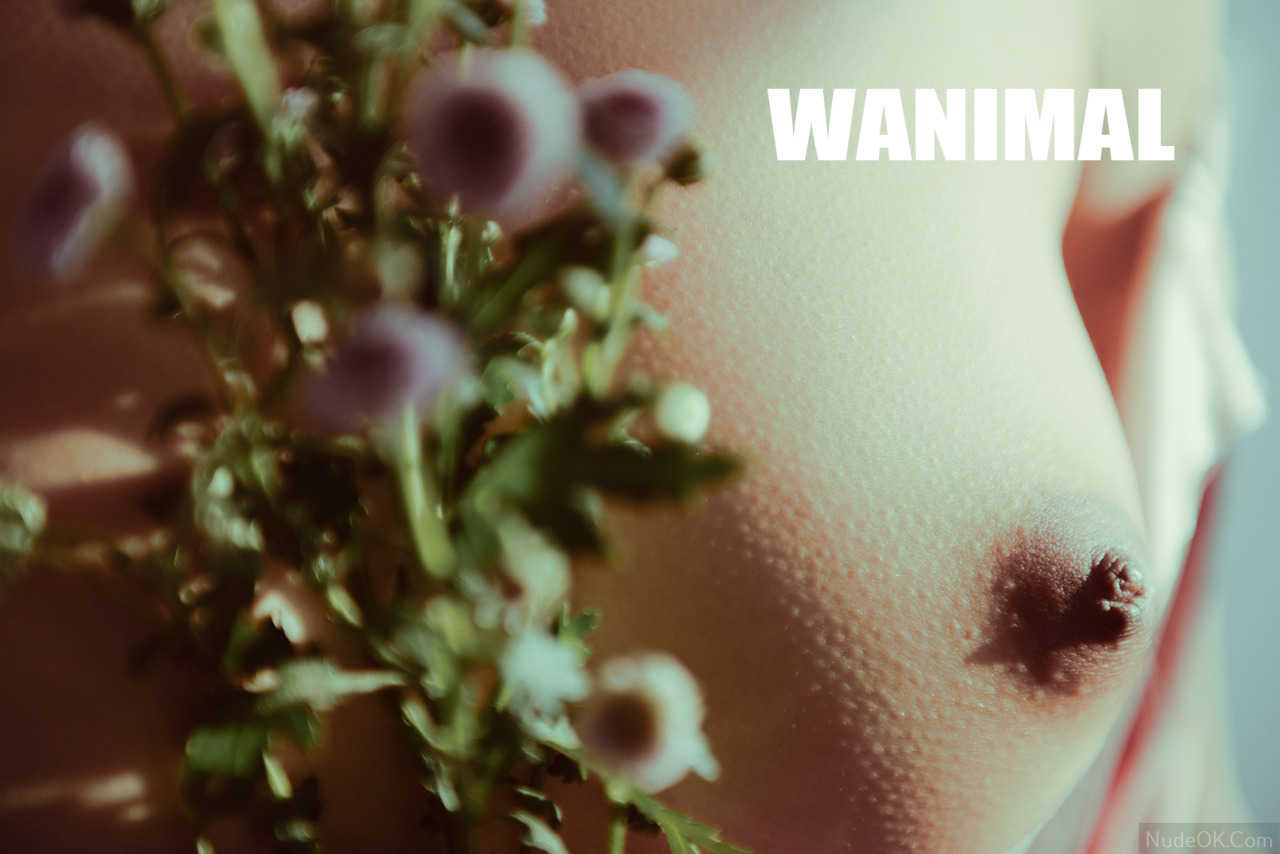 NudeOK.Com - 裸体照片 - 中国模特女孩 - Wanimal 裸体 - 色情 - 裸体艺术 - Photo Album; Model China; Girl Chinese; Naked Sexy; Nude Art Pictures; NudeOK.Com - 裸体照片 - 中国模特女孩 - Wanimal 裸体; 